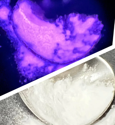 Electra Glow Pigment