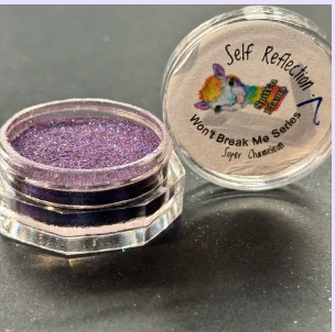 Self Reflection Super Chameleon